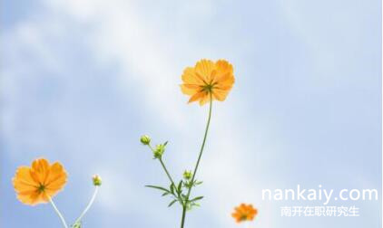南开大学在职研究生 南开大学